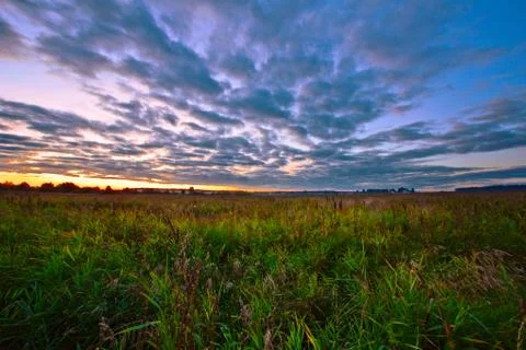 Sunset in summer field Stock Photos