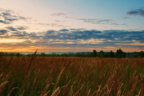 Sunset in summer field Stock Photos