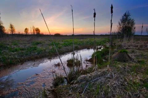 Sunset in summer field Stock Photos