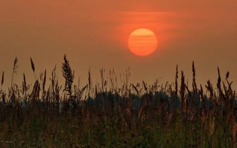 Sunset in summer field Stock Photos