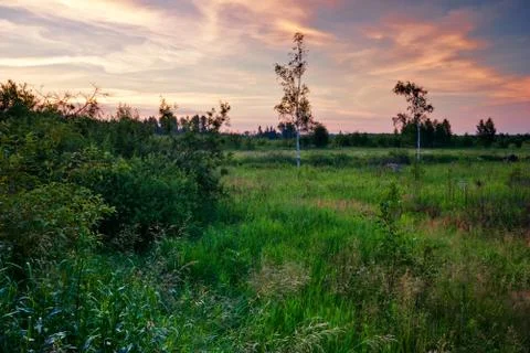 Sunset in summer field Stock Photos
