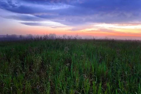 Sunset in summer field Stock Photos