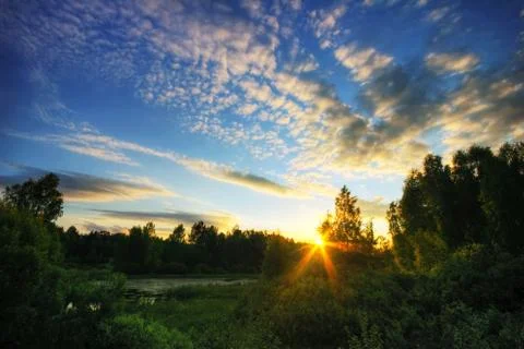 Sunset in summer field Stock Photos