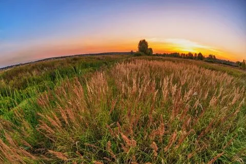 Sunset in summer field Stock Photos