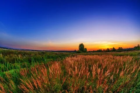 Sunset in summer field Stock Photos