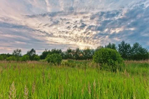 Sunset in summer field Stock Photos