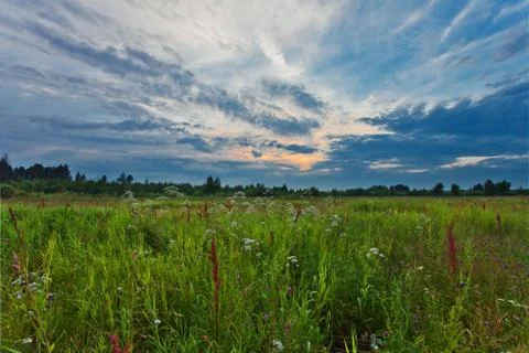 Sunset in summer field Stock Photos