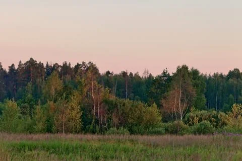 Sunset in summer field Stock Photos