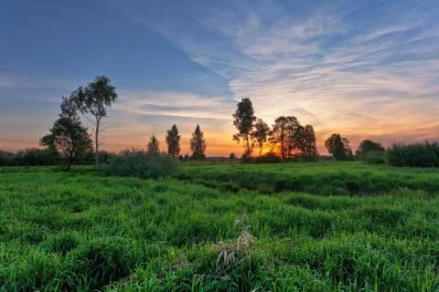 Sunset in summer field Stock Photos