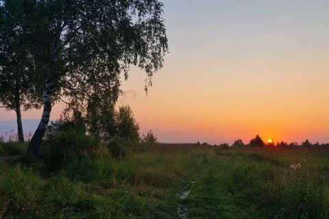 Sunset in summer field Stock Photos