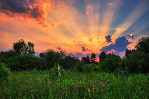 Sunset in summer field Stock Photos