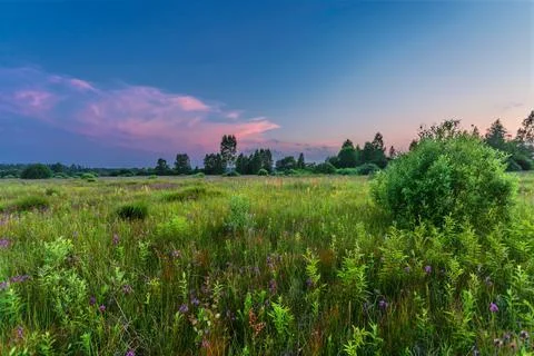 Sunset in summer field Stock Photos