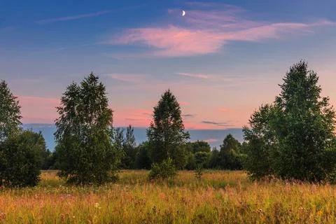 Sunset in summer field Stock Photos