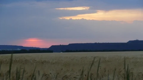 Sunset in the summer. Stock Footage 90629120