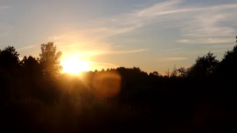 Sunset in the summer forest in focus and out of focus of the camera Video stock 139485771