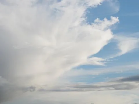 Sunset in the summer forest Stock Photos