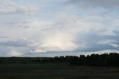 Sunset in the summer forest Stock Photos