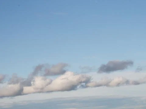 Sunset in the summer forest Stock Photos