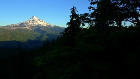 Sunset in summer pan on snowy mountain and forest valley Mt. Hood from Lost Lake Video stock 81903065