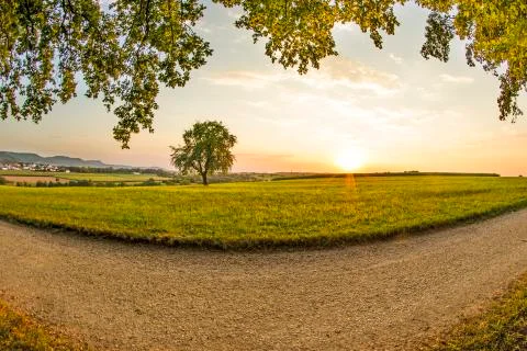 Sunset in summertime with tree in Germany Stock Photos