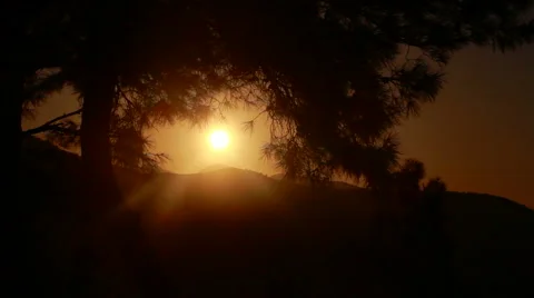Sunset sun among tree Stock Footage 63127080