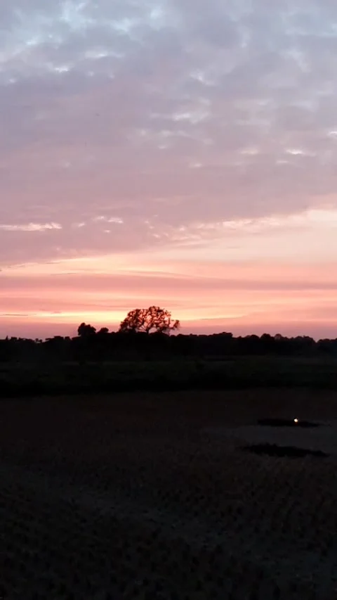 At sunset the sun is covered with black clouds and light is shining through it. Stock Footage 130612185