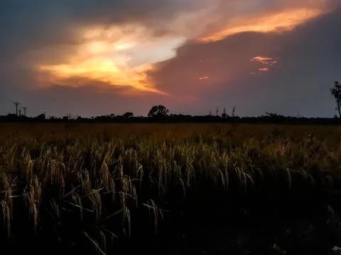 At sunset the sun is covered with black clouds and light is shining through i Stock Photos
