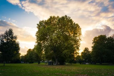 Sunset Sun Flare Autumn Fall Green Yellow Fiery Sky Park Forest Landscape Sea Stock Photos