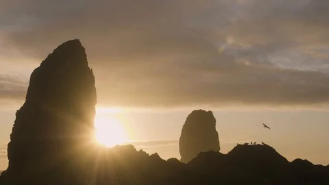 Sunset sun flare landscape at haystack rock cannon beach bird flying left right Vidéo 122806235
