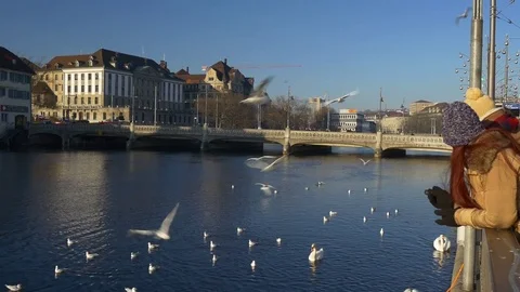 Sunset sun light zurich limmat river bay crowded panorama 4k switzerland Stock Footage