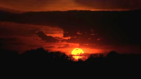 Sunset sun over the trees in the clouds. Dramatic fantastic sunset Foto stock