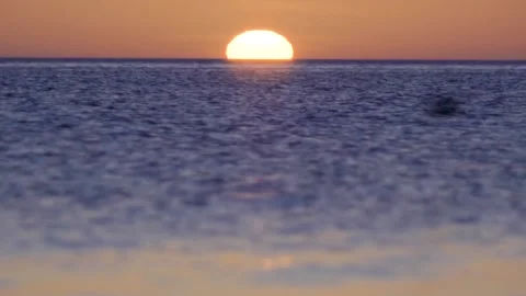 Sunset the sun on the sea is large, a flock of birds flies past the sun Stock Footage 149693235