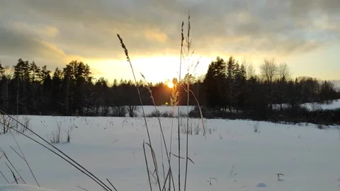 Sunset sun in winter Full HD 60 FPS Stock Footage 267615263