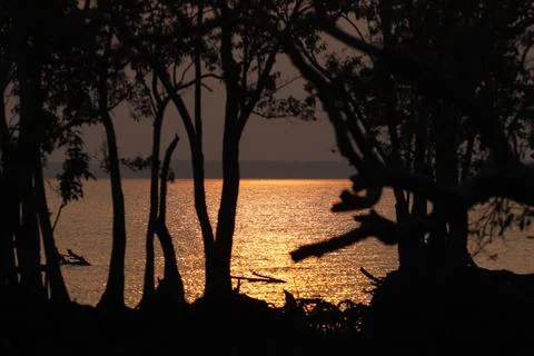 Sunset At Sundarbans. Stock Photos