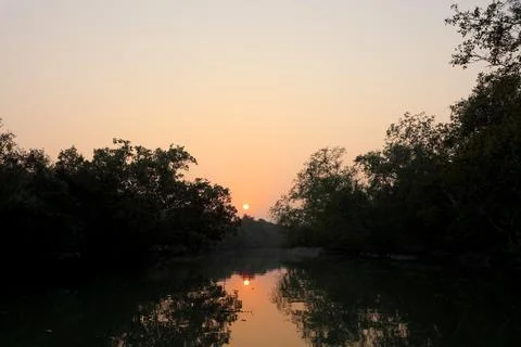 Sunset at sundarbans. Stock Photos