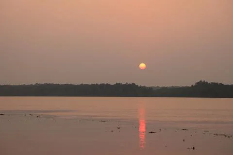 Sunset at sundarbans. Stock Photos
