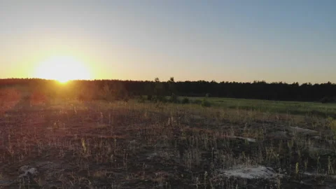 Sunset sunny over the forest Stock Footage 91928392