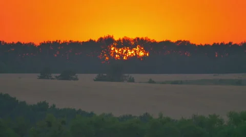 The sunset (sunrise) above (behind) the forest. Time lapse Stock Footage 52967082