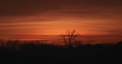 Sunset / Sunrise behind Bare Trees - Horizon Video stock 82807580