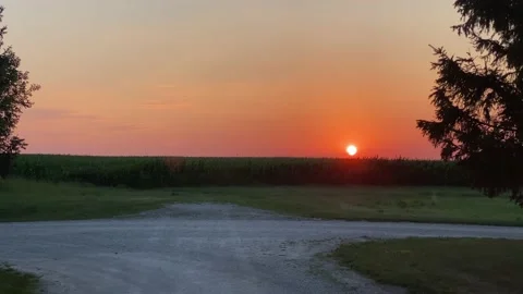 Sunset / Sunrise on Farm - Corn field Stock Footage 200550684