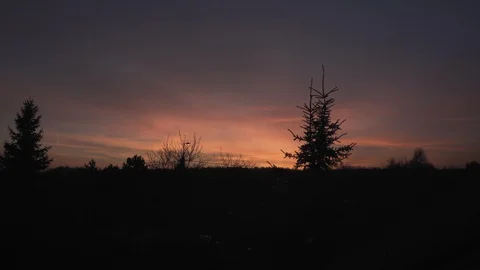 Sunset sunrise in the forest Stock Footage 102960672