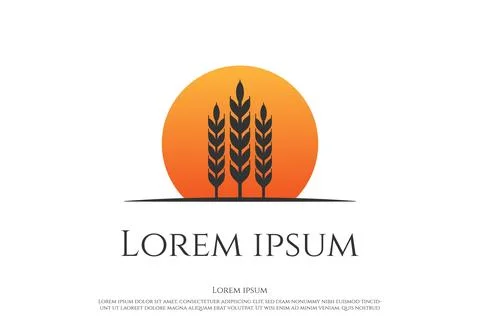 Sunset Sunrise Grain Wheat Rice Grass for Bakery or Brewery Logo Design Vecto Stock Illustration