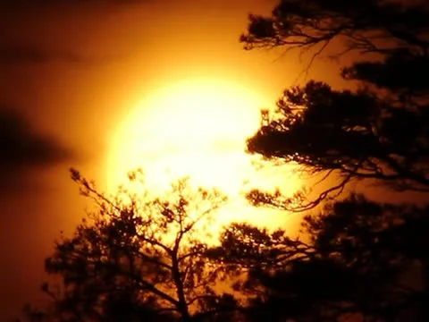 The sunset (sunrise) time lapse Stock-Footage 10858446
