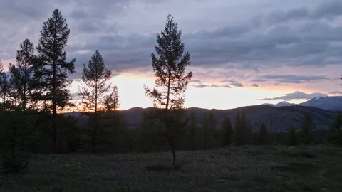Sunset, the sun's rays break through the branches of trees in the mountains. 4K Stock Footage 126721750