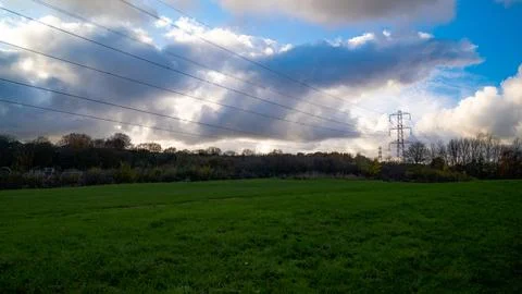 Sunset. Sunset among the trees Stock Photos
