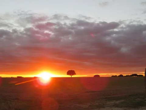 Sunset sunset sunset reddish colors hide reddish colors Stock Photos