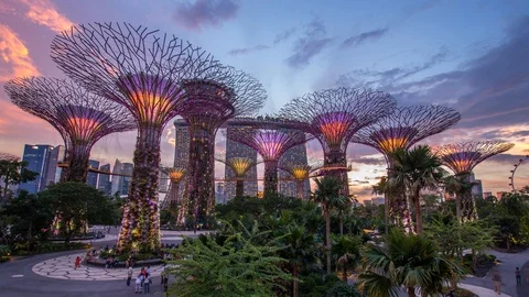 Sunset - Supertrees Gardens by the Bay Singapore Stock Footage