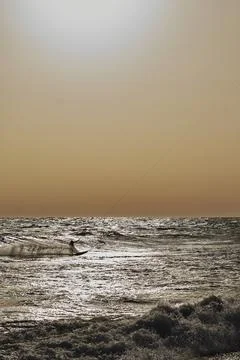 Sunset surf (2) Fotos Stock