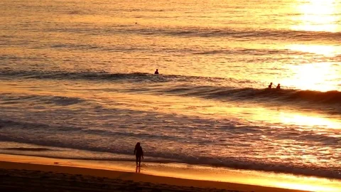 Sunset Surfer Video stock 83438882