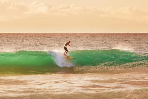 Sunset surfer Stock Photos